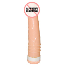 Vibrador de mulheres Sexy adulto sexo brinquedo (DSC0137)